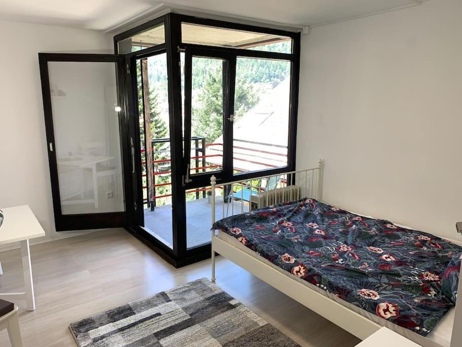 Gemuetliches Einzimmer-Apartment 33 باد ويلباد المظهر الخارجي الصورة