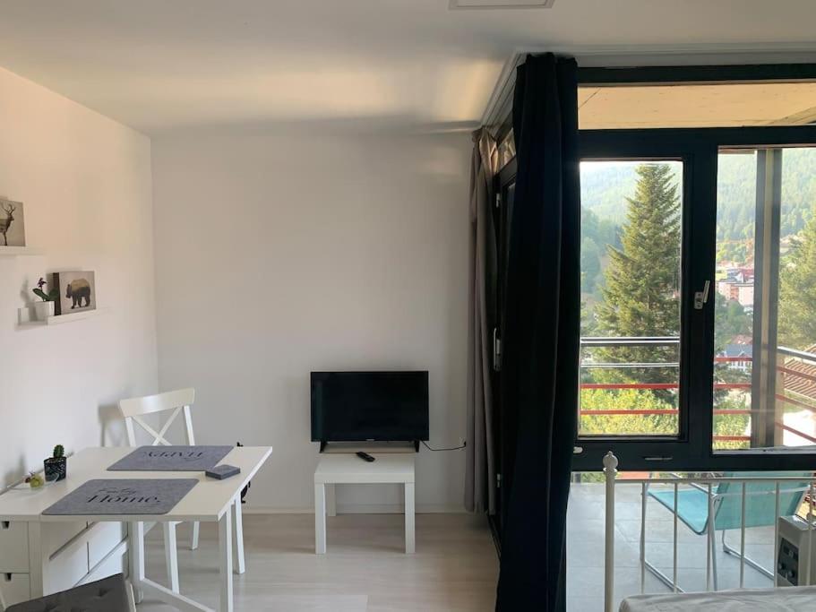 Gemuetliches Einzimmer-Apartment 33 باد ويلباد المظهر الخارجي الصورة